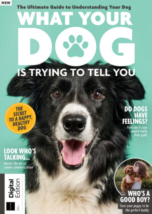 what your dog is trying to tell you ed5 2024 ereadspot.jpg