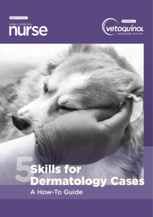 dermatology skills guide 2 ereadspot.jpg