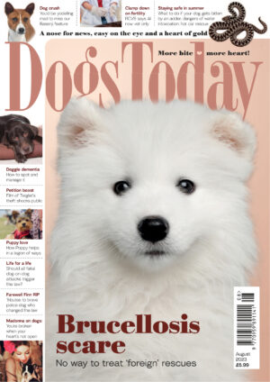 dogs today uk august 2023 ereadspot.jpg