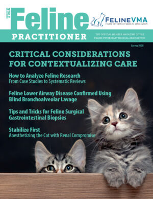feline practioner 11 ereadspot.jpg