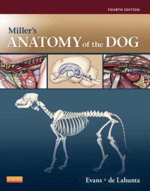 millers anatomy of the dog ereadspot.jpg
