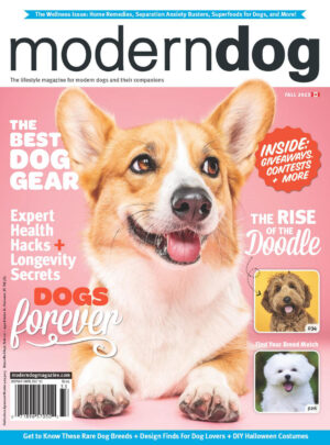 modern dog canada fall 2023 ereadspot.jpg