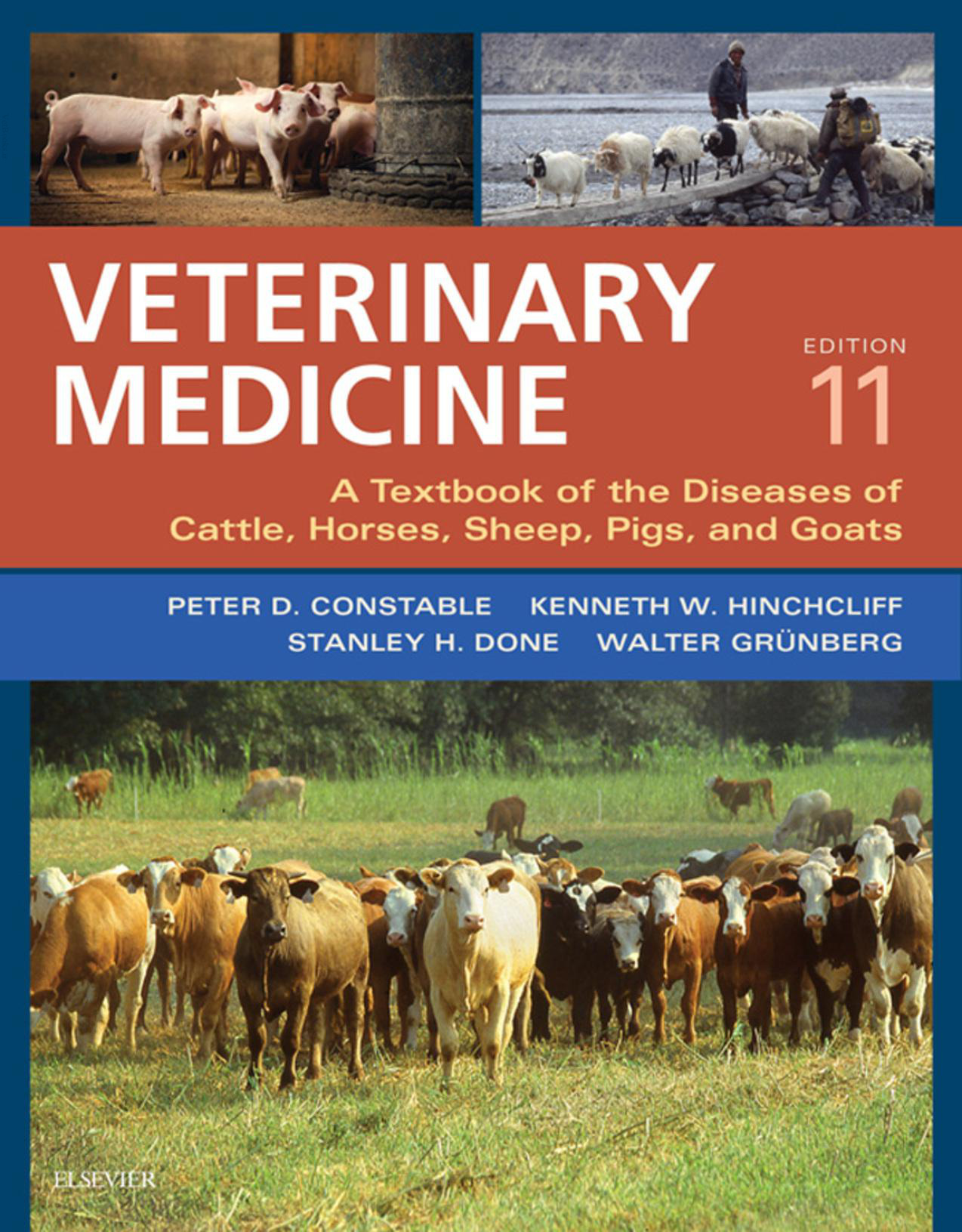 veterinary medicine a textbook of the diseases of cattle hor.jpg