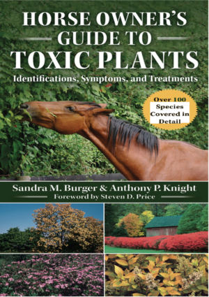 cover 11539