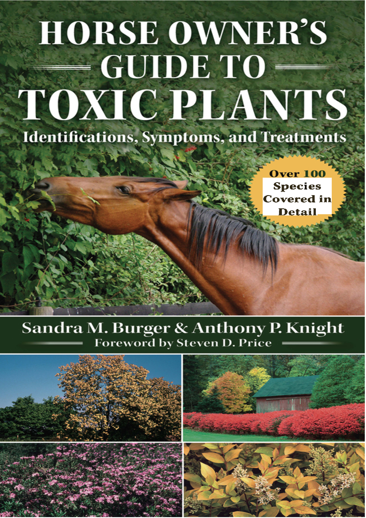 cover 11539 cover 11539