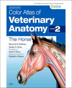cover 11648