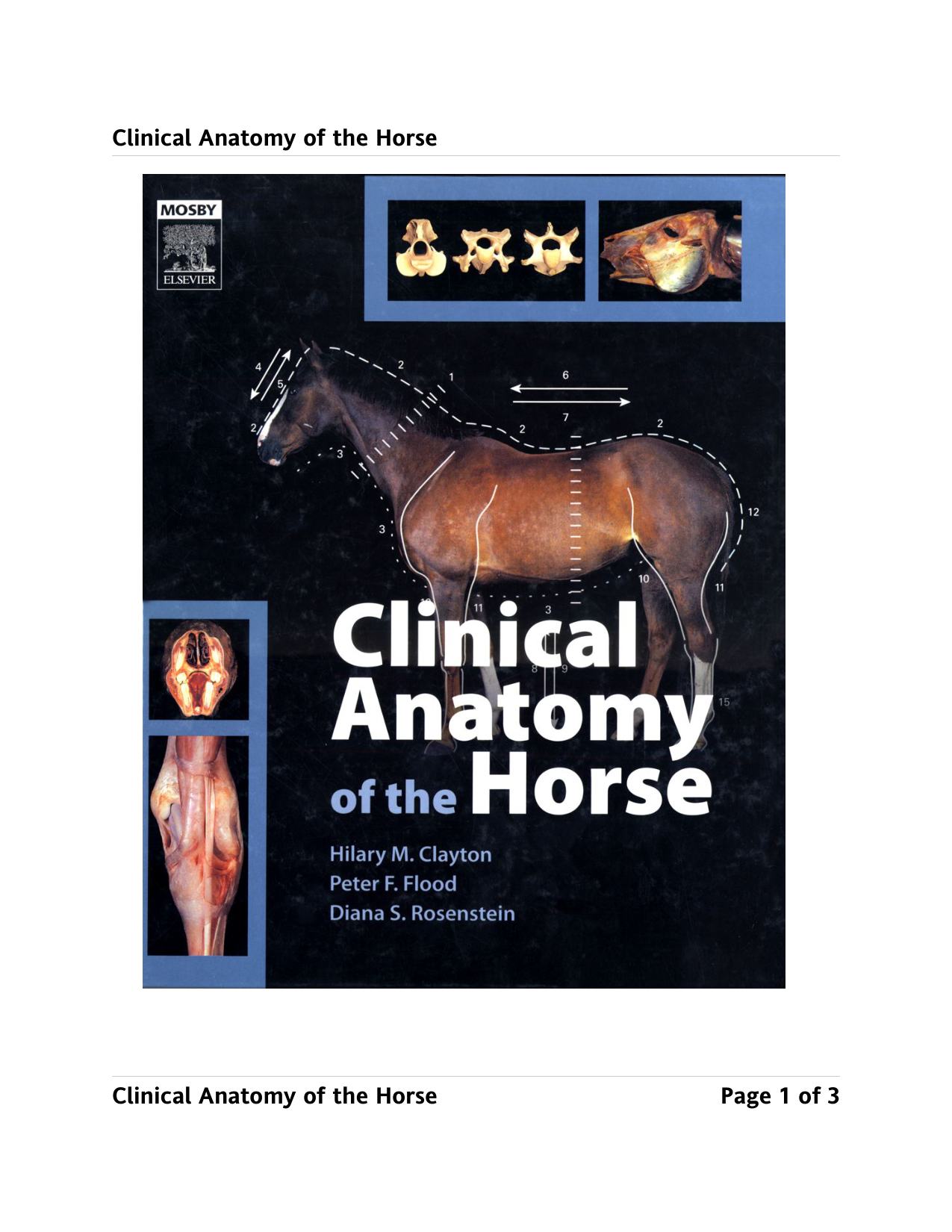 cover 11654 cover 11654