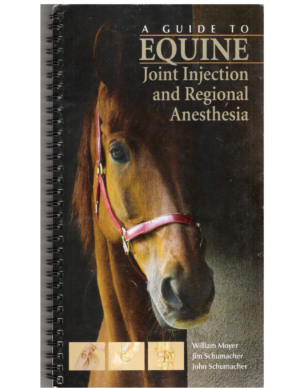 Store cover 11692
