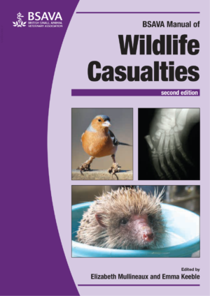 cover 12002