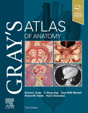 cover 12299