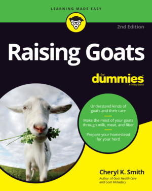 cover 12621
